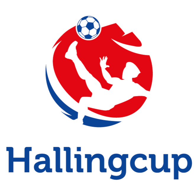 Hallingcup Futsal